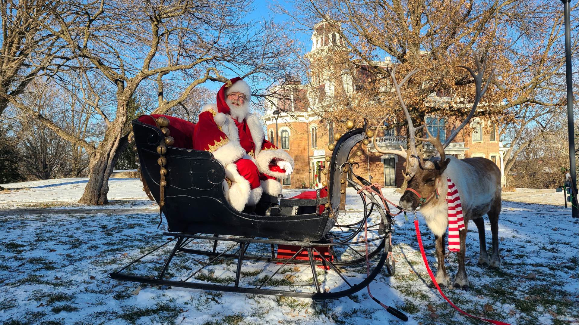 Santa Dave in sleigh with reindeer